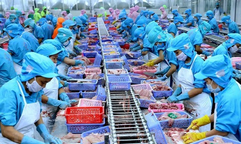 Thủ tướng chỉ đạo loạt biện pháp tăng cường xuất khẩu hàng nông lâm thủy sản