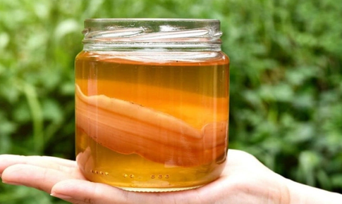 Thời điểm nào tốt nhất uống kombucha?