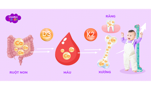 Hội thảo khoa học về vi chất D3K2 với sự tham gia của ba tập đo&#224;n lớn tr&#234;n thế giới