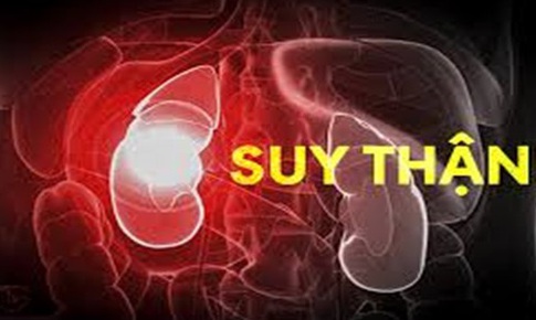 Người bệnh suy thận nên ăn gì?