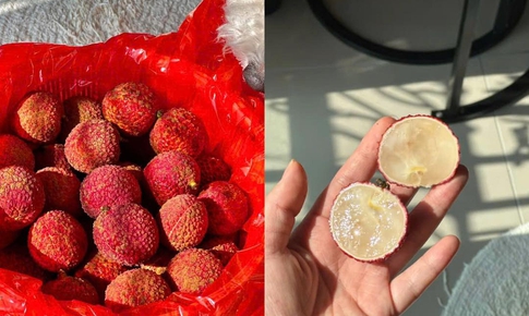 Vải không hạt Trung Quốc gây sốt, dân sành ăn chi tiền triệu để thưởng thức