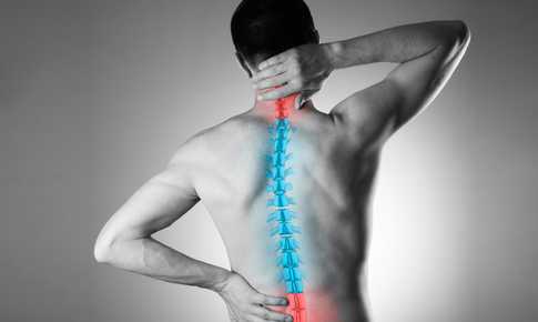 Giải pháp dinh dưỡng phòng ngừa và kiểm soát loãng xương