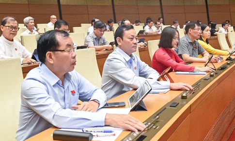 Không đưa chính sách hỗ trợ đối với cán bộ bị ảnh hưởng do sắp xếp vào Luật Việc làm (sửa đổi)