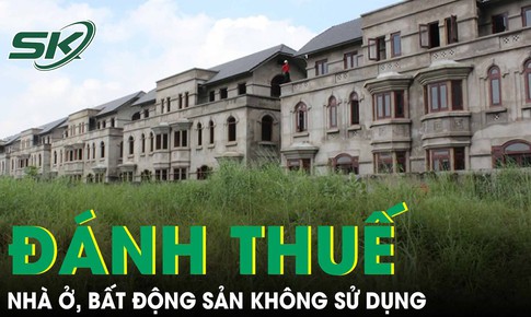 Chính phủ yêu cầu nghiên cứu, đề xuất đánh thuế với nhà ở, bất động sản không sử dụng