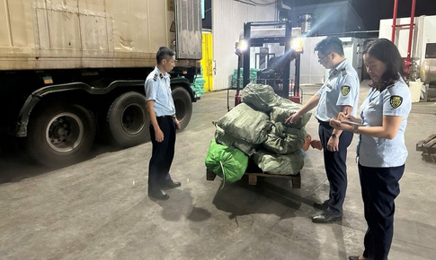 Hơn 12 tấn chân gà 'bốc mùi' không rõ nguồn gốc được phát hiện trong kho lạnh