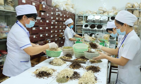 Phó Thủ tướng Nguyễn Hòa Bình: Y học cổ truyền chưa bao giờ bị lãng quên, đó là niềm tự hào của chúng ta