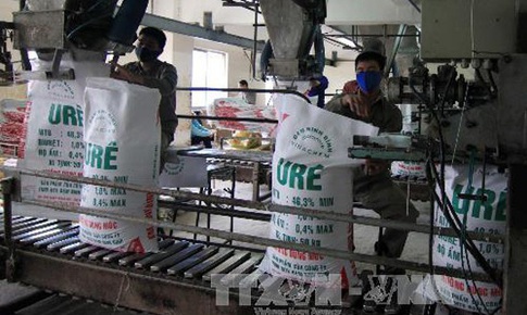 Thị trường phân bón: Giá bán trong nước bám sát đà tăng cao của thế giới