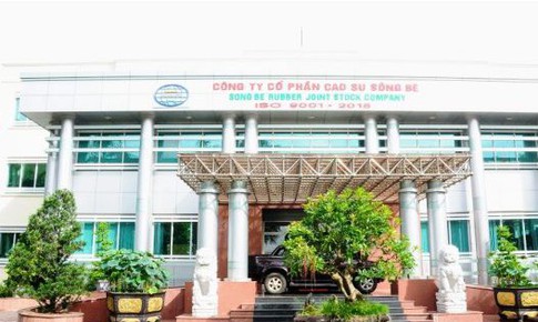 Công ty Cổ phần Cao su Sông Bé bị phạt hàng trăm triệu vì báo cáo lỗ thành lãi