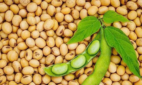 4 món ăn - bài thuốc phòng chống tình trạng thiếu canxi