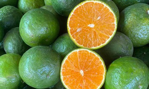5 loại trái cây giàu kali có thể giúp hạ huyết áp