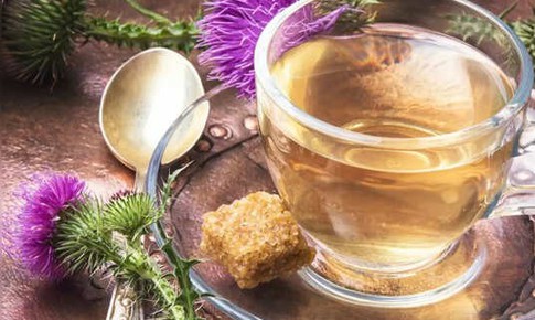 4 loại tr&#224; thảo dược hỗ trợ giải độc gan một c&#225;ch tự nhi&#234;n