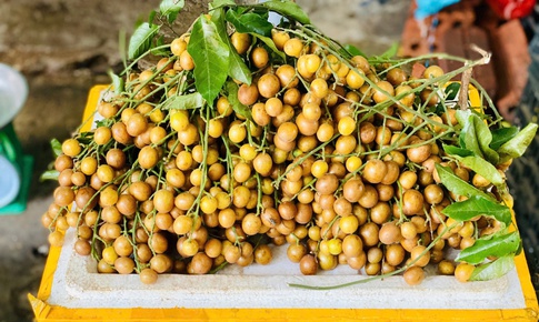 Loại quả ăn vặt dân dã vào mùa, chị em thi nhau săn đón thưởng thức