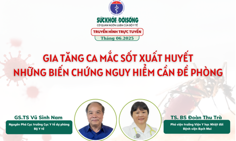 Truyền hình trực tuyến: Gia tăng ca mắc sốt xuất huyết, những biến chứng nguy hiểm cần đề phòng