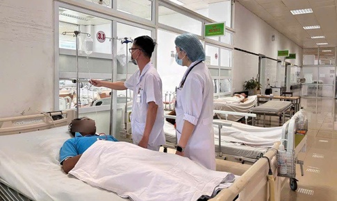 Nhiều người nhập viện sau khi ăn lẩu có nấm hái từ rẫy