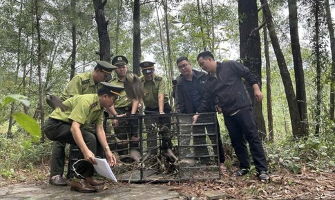 Mang chim đi cà phê phải chứng minh nguồn gốc: Kết quả sau gần 1 tháng triển khai