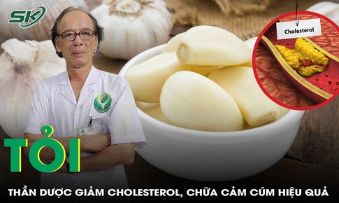 Tỏi - 'Thần dược' tự nhiên giúp giảm cholesterol, cảm cúm hiệu quả