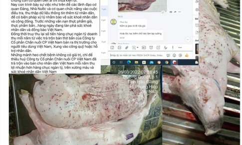 Đề nghị Bộ Công an vào cuộc vụ tố Công ty C.P. Việt Nam bán thịt lợn bệnh