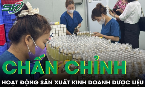 Chấn chỉnh hoạt động sản xuất dược liệu tại Hưng Yên
