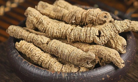 5 cây thuốc nam giúp bổ thận tráng dương tăng cường sức khỏe nam giới