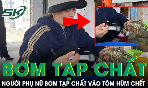 Bắt quả tang người phụ nữ bơm tạp chất vào tôm hùm chết, chuyên gia chỉ cách nhận biết