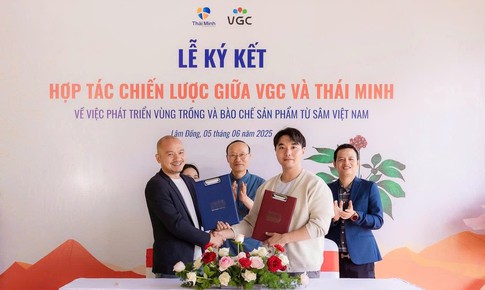 Sâm Thái Minh ký kết hợp tác chiến lược với VGC, bước tiến mới trong tiệm cận công nghệ trồng sâm Hàn Quốc