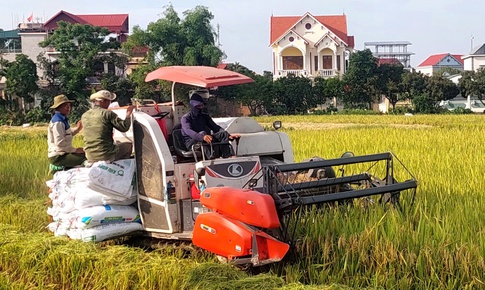 Chuyện n&#244;ng d&#226;n &#39;thu&#234; ruộng&#39; bỏ hoang để khởi nghiệp v&#224; hướng đi mới cho n&#244;ng nghiệp Ninh Giang