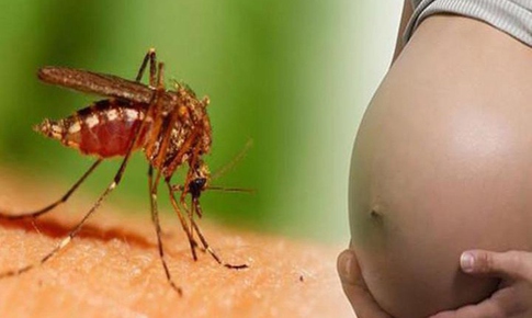 Đối tượng n&#224;o mắc sốt xuất huyết dễ bị trở nặng?