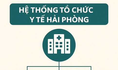 To&#224;n cảnh hệ thống y tế c&#244;ng lập ở Hải Ph&#242;ng sau hợp nhất