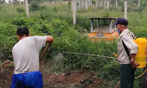Huế siết chặt gi&#225;m s&#225;t l&#242; mổ sau khi ghi nhận nhiều ca mắc li&#234;n cầu lợn