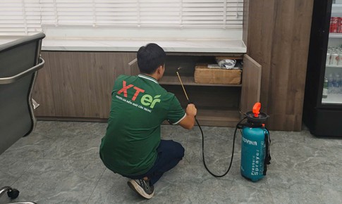 Tổ mối trong nhà - nỗi lo âm thầm trong tổ ấm nhỏ