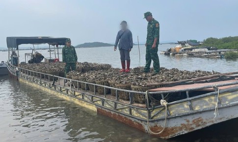 Mua 4 tấn h&#224;u lậu ở nước ngo&#224;i mang về Việt Nam b&#225;n kiếm lời