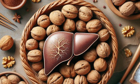 Thời điểm dùng tốt nhất 3 loại hạt để cải thiện gan nhiễm mỡ