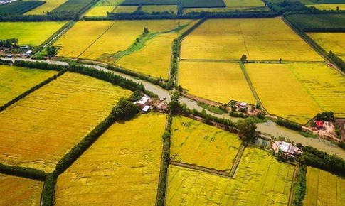 C&#225;c trường hợp đất n&#244;ng nghiệp kh&#244;ng được cấp sổ đỏ mới nhất