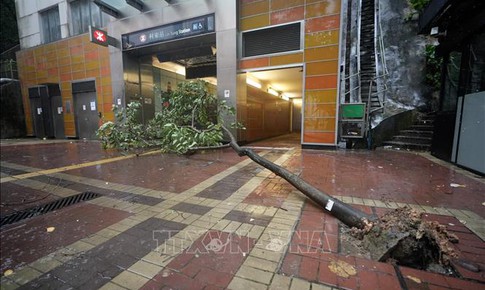B&#227;o Wipha &#39;c&#224;n qu&#233;t&#39; Trung Quốc: Giao th&#244;ng t&#234; liệt, kinh tế thiệt hại nặng