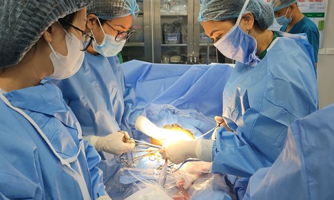Lên chặt cành cây tránh bão, người đàn ông bị ngã chấn thương đầu