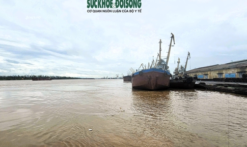 Nước vùng cửa sông ven biển dâng cao vượt mức lịch sử, hàng loạt điểm có nguy cơ sạt lở
