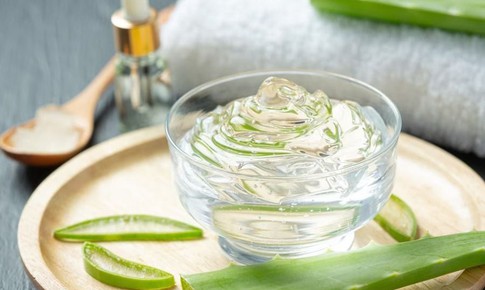 Cách sử dụng lô hội (nha đam) để có làn da sáng và mái tóc khỏe mạnh