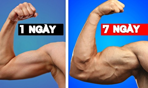 Bài tập tăng cơ, giảm mỡ mà không giảm cân