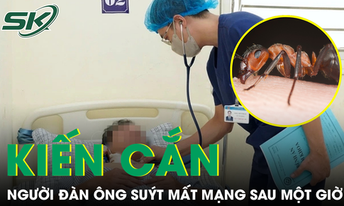 Một giờ sau khi bị kiến cắn, người đ&#224;n &#244;ng rơi v&#224;o nguy kịch, su&#253;t mất mạng