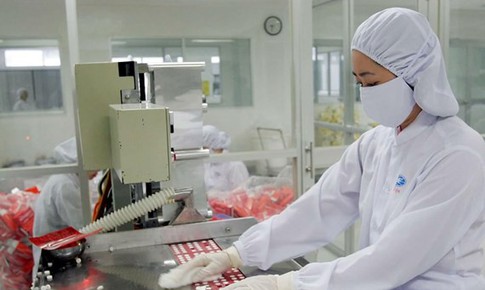Bộ Y tế quy định mới nhất trình tự đánh giá thực hành tốt sản xuất thuốc, nguyên liệu làm thuốc