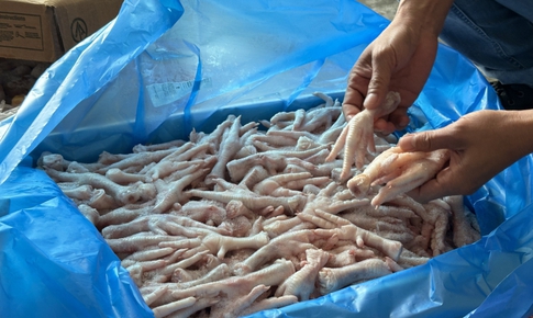 Rủi ro sức khỏe nghi&#234;m trọng từ ch&#226;n g&#224; đ&#244;ng lạnh nhập lậu