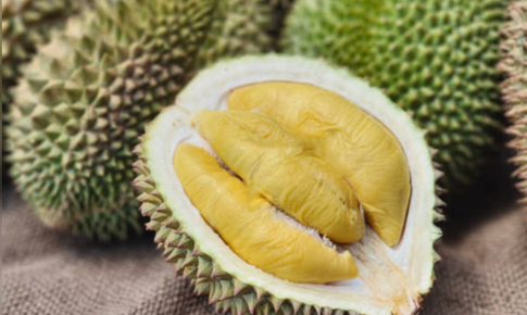 7 lợi ích sức khỏe của sầu riêng
