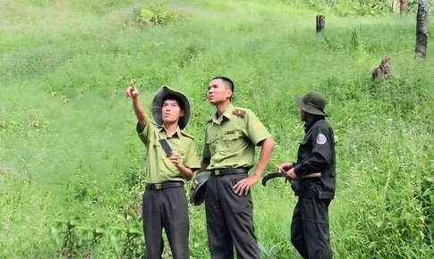 Dùng flycam bảo vệ 'lá phổi xanh' trong mùa nắng nóng