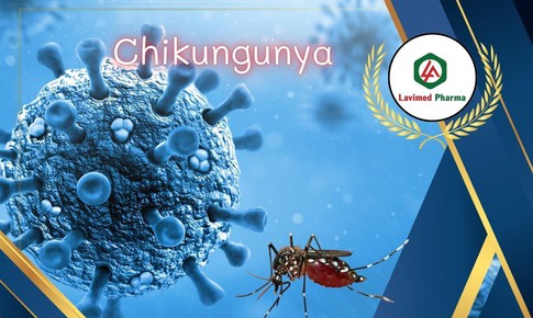 Cảnh b&#225;o bệnh Chikungunya do muỗi Aedes: g&#226;y sốt cao, đau v&#224; vi&#234;m khớp