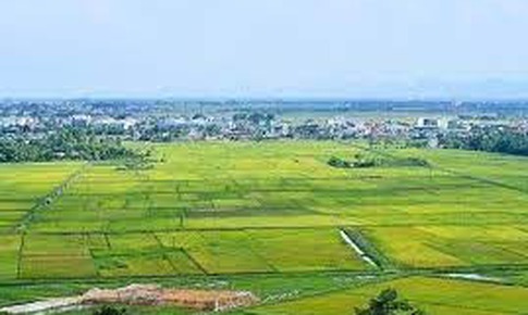 Trường hợp bị cưỡng chế thi hành quyết định thu hồi đất theo quy định mới