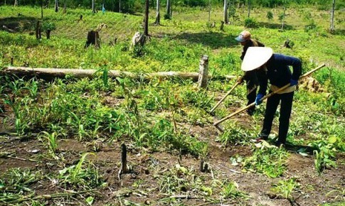 Quy định mới về sử dụng đất kết hợp đa mục đ&#237;ch