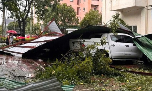Cây đổ đè xe máy, ô tô… la liệt ở Nghệ An