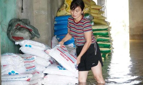 Ngậm ngùi nhìn 15 tấn phân bón chìm trong nước lũ, người dân bì bõm cứu vớt tài sản