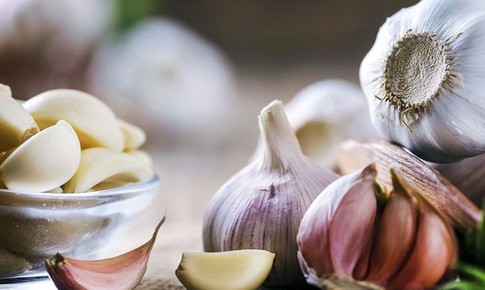 Tác dụng chữa bệnh của 7 loại thảo mộc phổ biến