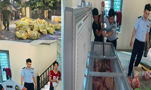 Mua hơn 1,6 tấn lợn nhiễm dịch tả lợn châu Phi để bán